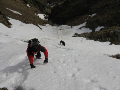 Fabio inseguito da Orso...il mitico cane del faiallo che si è fatto il canale con noi..