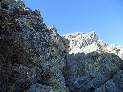 Breve passaggio su roccia sulla cresta est del Pizzo