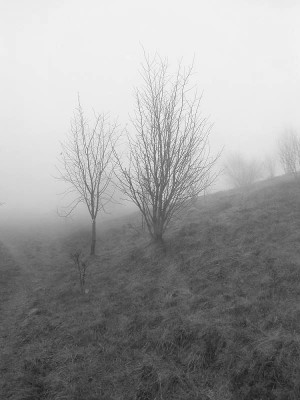 Romano-Monte Antola-Rifugio Antola 04-11-2012 (17).JPG