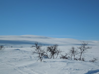 kungsleden 2013 016.jpg