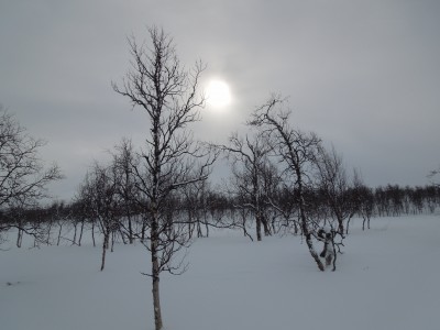 kungsleden 2013 041.jpg