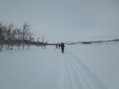 kungsleden 2013 039.jpg