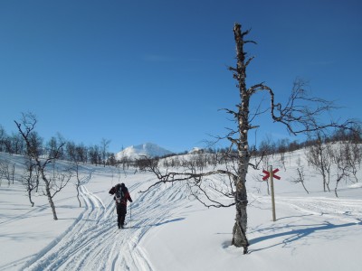 kungsleden 2013 060.jpg