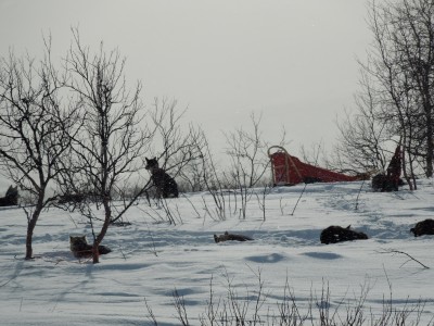 kungsleden 2013 067.jpg