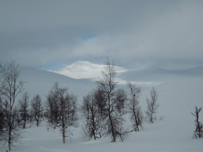 kungsleden 2013 091.jpg