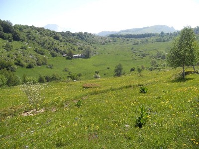 Ca du Cian dall'Armetta verso il Dubasso