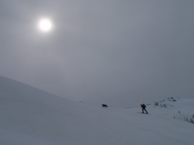 In salita con un sole malato