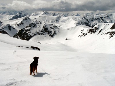 Frankie punta uno sciatore solitario che scende verso Castelmagno in Val Grana
