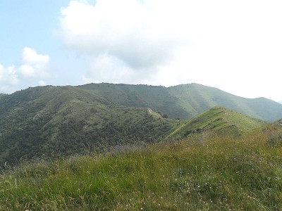 Dall'alpe di Baudo la cresta di salita. Sulla dx  M.Grande, al centro monte Carpasina