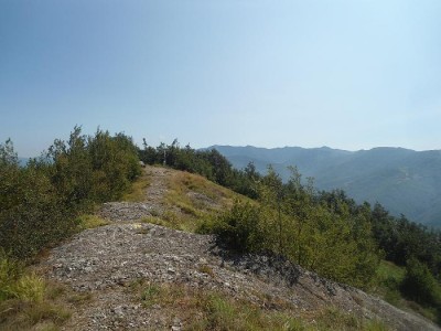 La vetta del Monte Maggio e sullo sfondo la catena PrelÃ -Antola.JPG