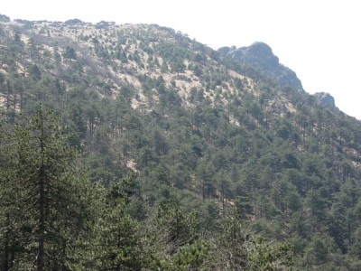 Salendo per la strada dei giassi si lascia sulla destra la vetta rocciosa della Punta Martin