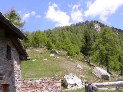 Alpe Leretta, vista verso la punta omonima!