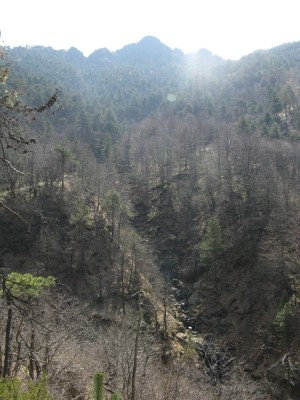 Sul rio Martino incombe la vetta rocciosa della Punta Martin