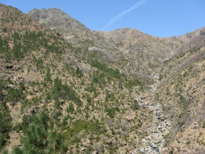 La valle del rio baiardetta - parte superiore