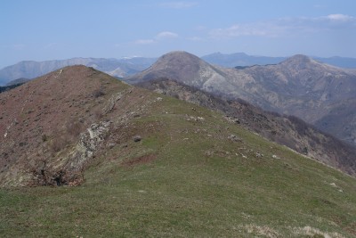 48 - Cresta Alpe verde e rossa con sullo sfondo Zatta Porcile e Verruga piÃ¹ da vicino.JPG