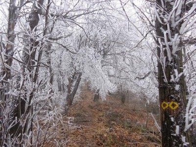 Boschi di ghiaccio a Monte Maggio.JPG