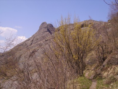 ultimo sguardo alle rocche fra gli alberi in fiore