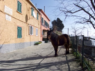 All'Osteria delle Baracche