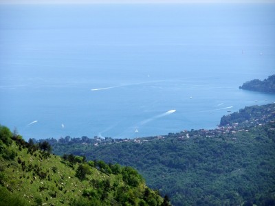 All'uscita dal bosco