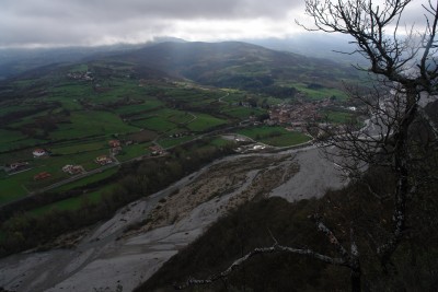 09 - Prati verdi Borbera e albero secco andando verso Croce Alpini.JPG