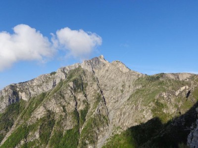 Monte Toraggio.JPG