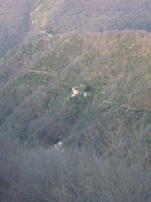 L'Arvigo e, sotto, Molinasso visti dal Monte Bastia.JPG