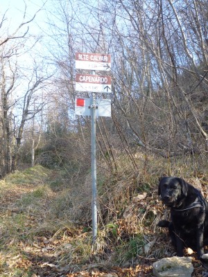 Joey tra Calvari e il bivio per il monte omonimo