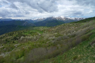 Colle di Caprauna.jpg