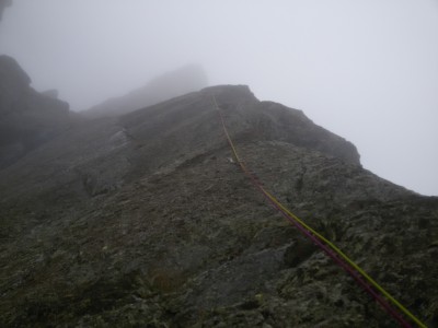 nebbia a gogò