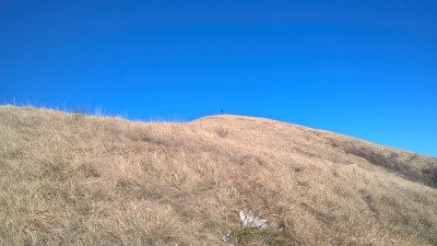 La cima erbosa del Proventino vista dalla traccia che taglia il versante occidentale per ricongiungersi a quello che sale in vetta proveniente da Caserza