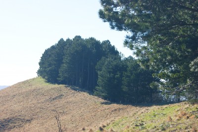 Verso la cima del Candelozzo