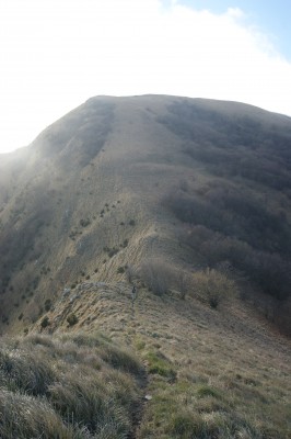 risalendo il crinale dll'Alpesisa.JPG