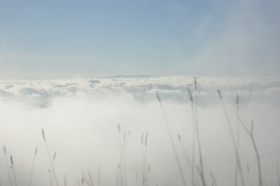 macaja sull'alpesisa