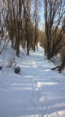 Neve sotto il monte Duso