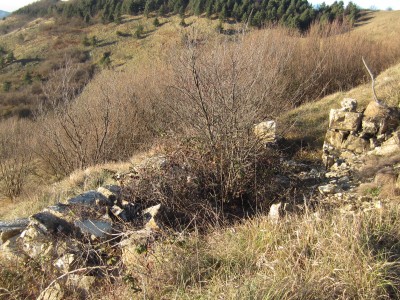 I ruderi sotto al Monte Proventino