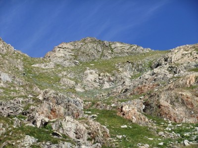 Agnello 2016 073.JPG