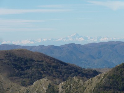 Monviso