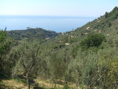 panorama dalla casa rossa/arancione