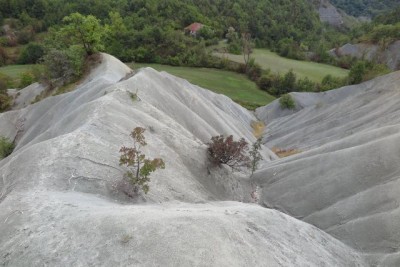 045 - Cresta calanchi e prati dalla sommit_.JPG