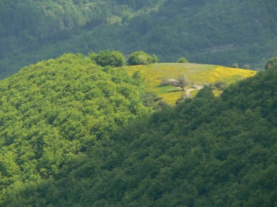 69 - Podere giallo tornando dal Cosfrone piÃ¹ satura.JPG