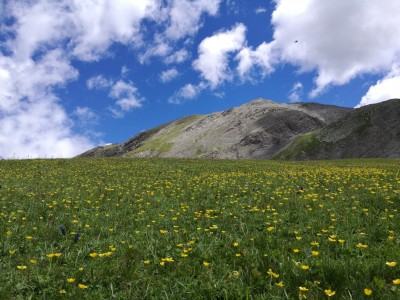 Alto vallone del Puriac