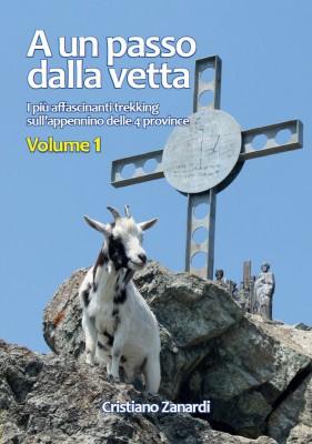 A un passo dalla vetta - Volume 1