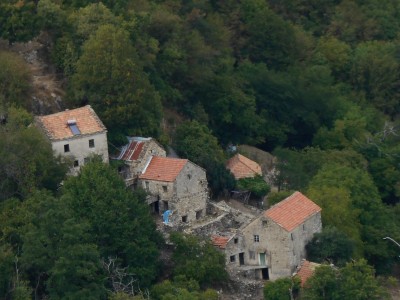 Il sottostante nucleo di cognole ( Foto di Giuseppe B.)