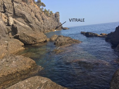 VITRALE DAL GIASSO