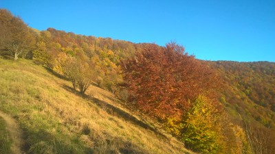 Autunno antola 4.jpg