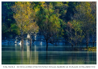 6 val noci - si sta come d'autunno sugli alberi le foglie - ph @ enrico pelos.jpg