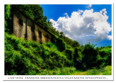 2 val noci - case veixe frazione abbandonata e vegetazione avviluppante - ph @ enrico pelos.jpg