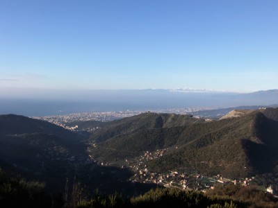 Genova