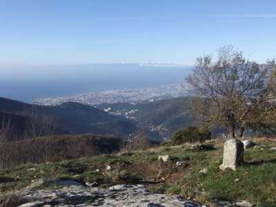 Genova dal Proi