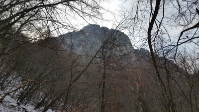 Rocca Barbera dalle faggete lato nord percorrendo l'Alta Via